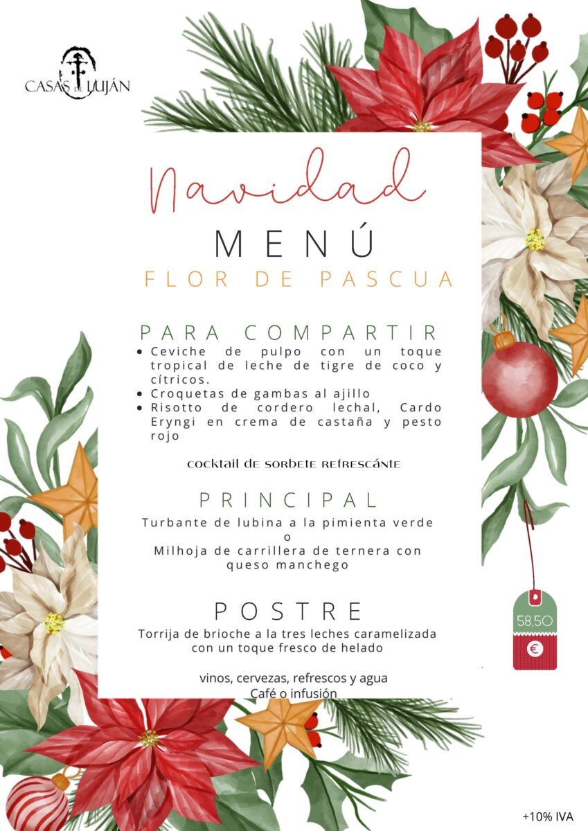 menunavidad_Página_2