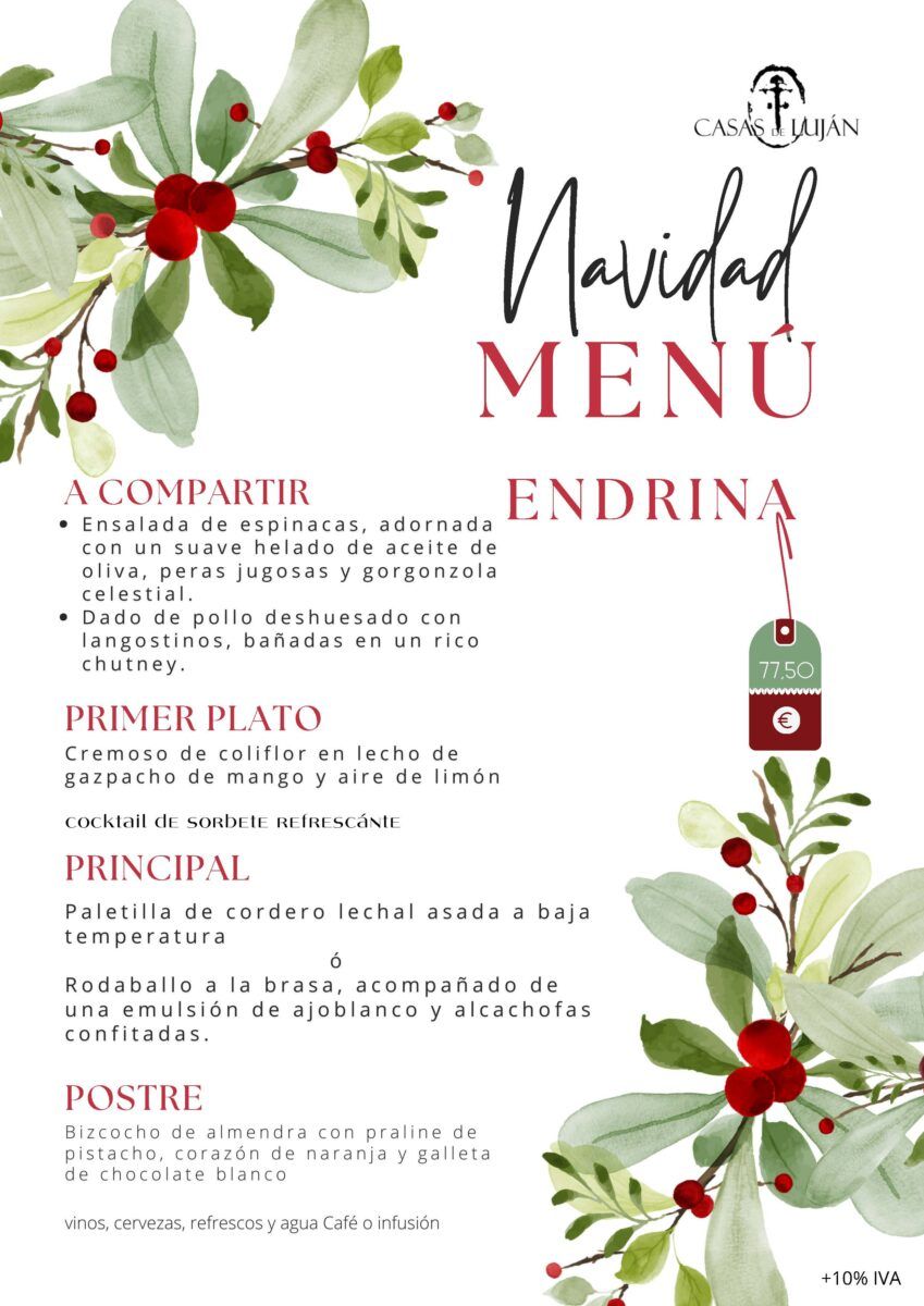 menunavidad_Página_3